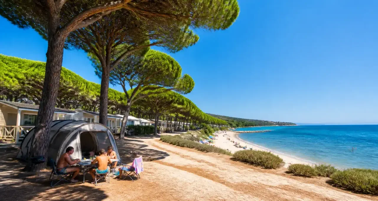 Camping en bord de mer méditerranéenne bordé de pins parasols près de la plage